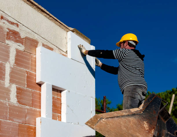 Best Types of Insulation in Belle Plaine, IA