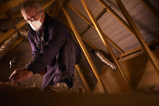 Best Insulation Materials and Products in Belle Plaine, IA